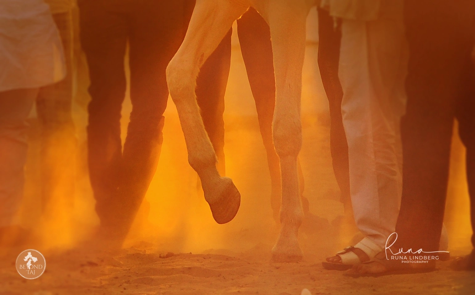 Rajasthan Photo Tour