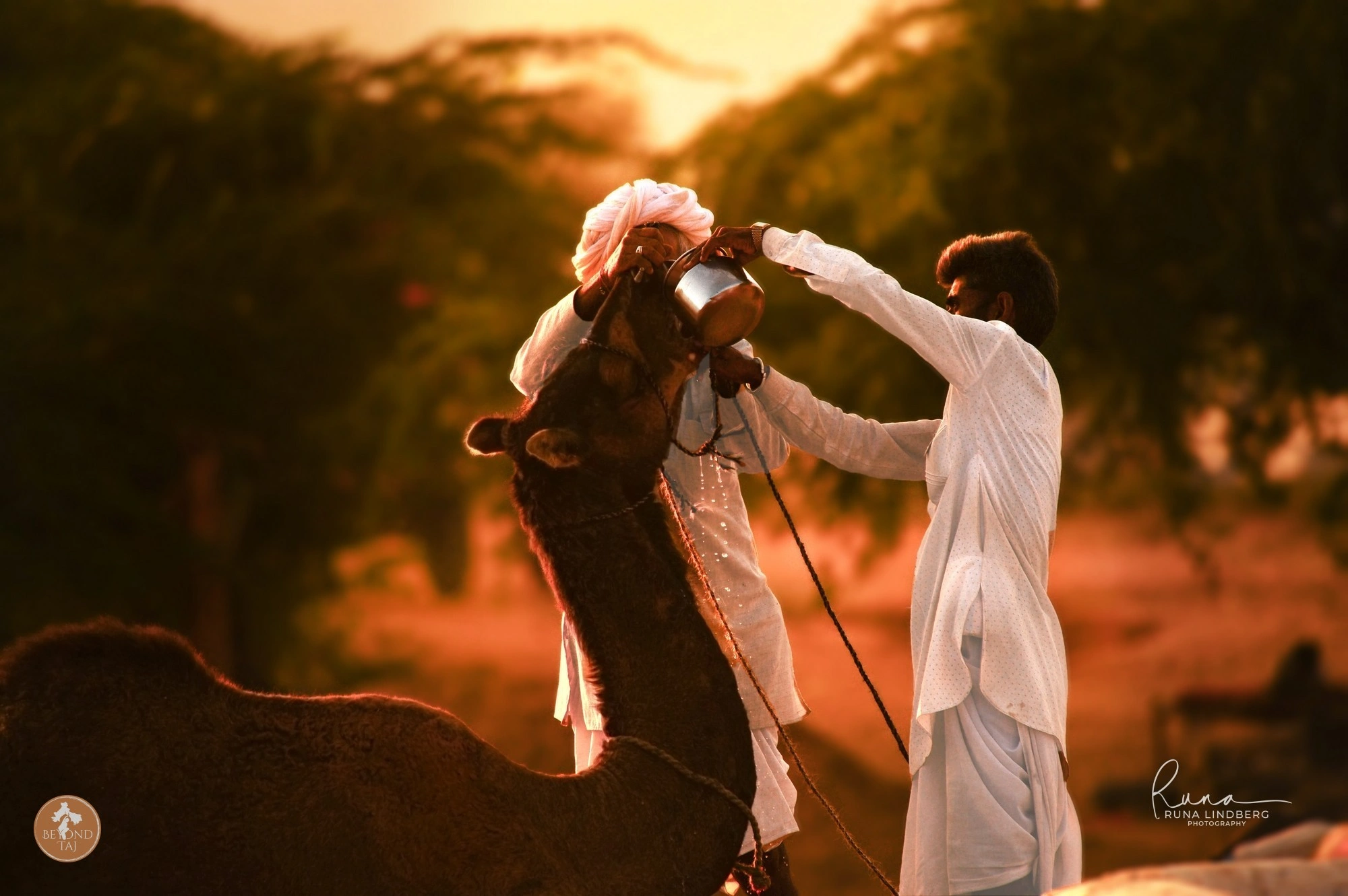 Rajasthan Photo Tour