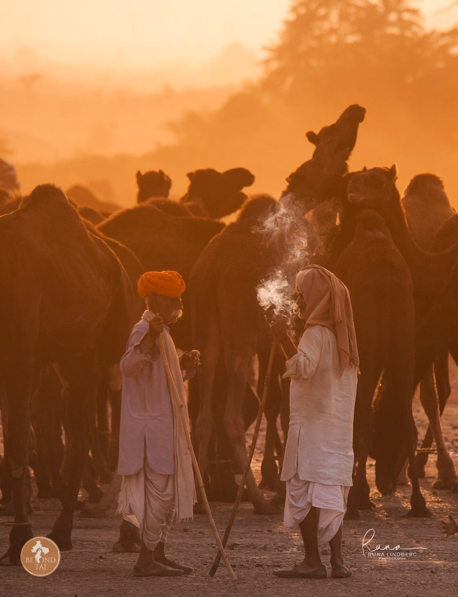 Rajasthan Photo Tour