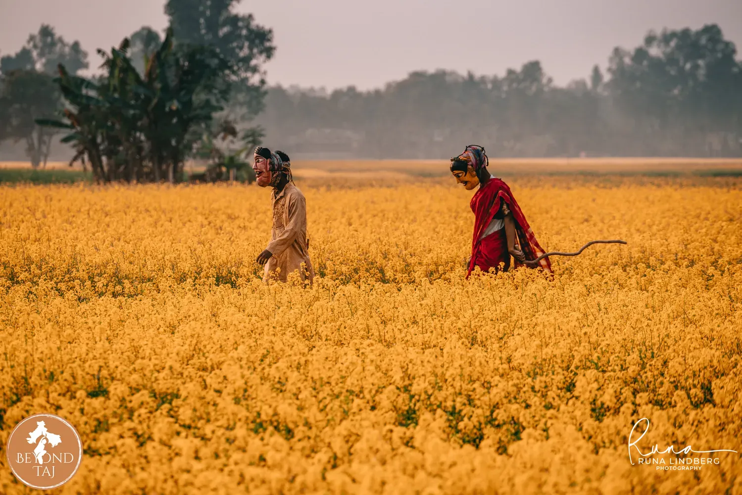 Gomira mask dancers walking through a Bengal mustard field