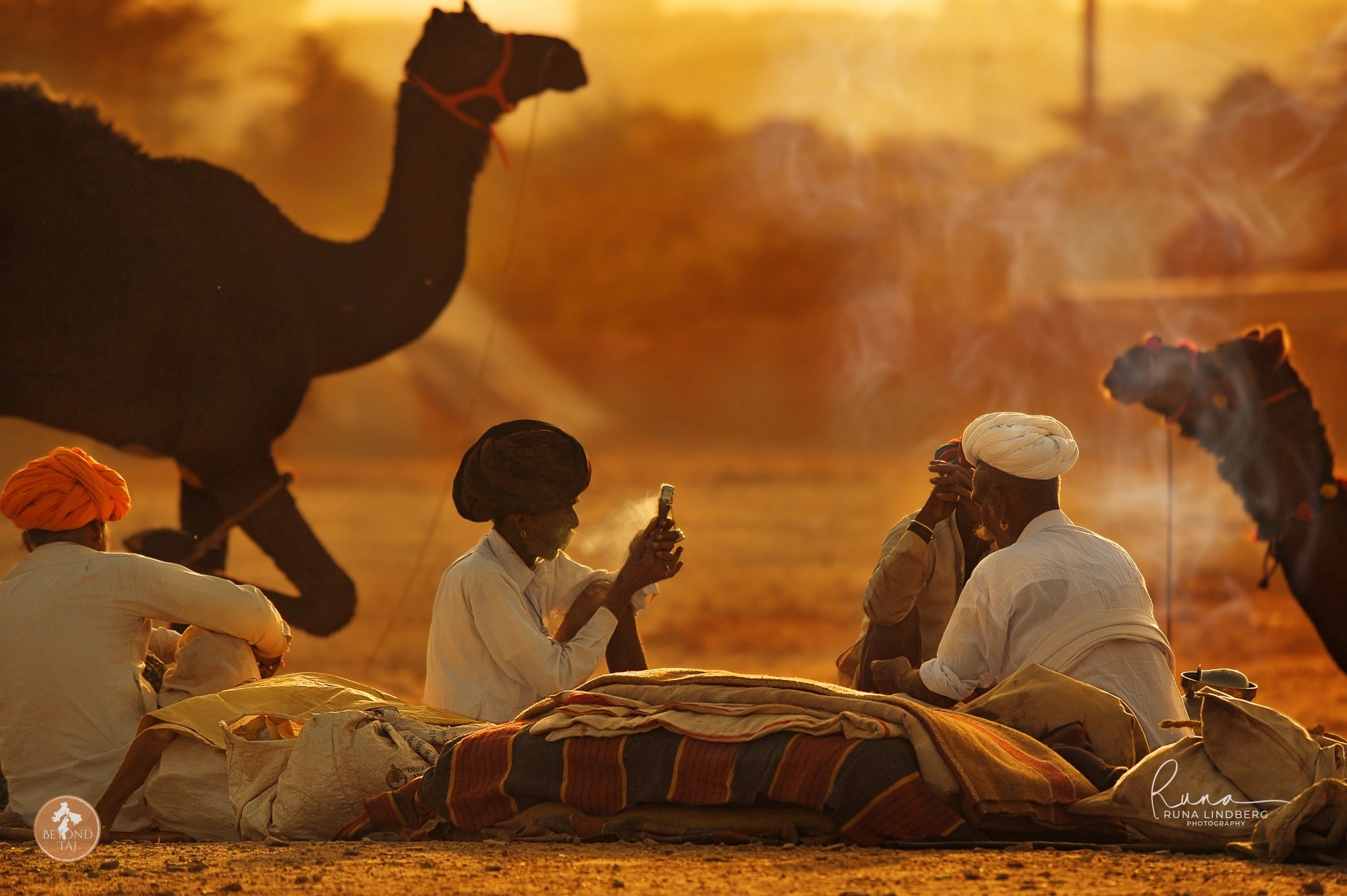 Traders who bring camels to the Pushkar Mela camp on the fairgrounds for the full week sleeping among their animals and belongings. This early morning scene shows tea and tobacco before the trading begins.