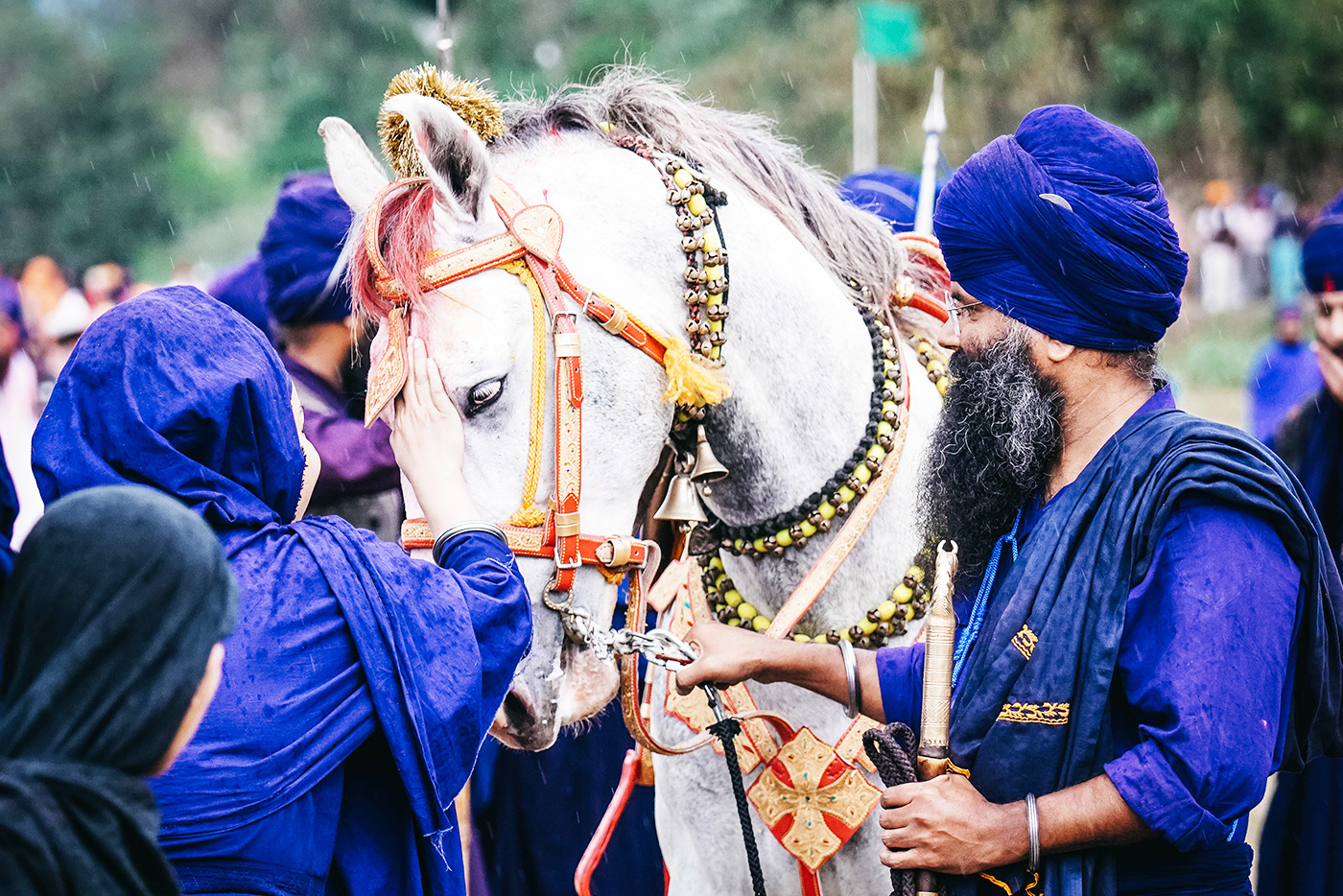 Holi & Hola Mohalla Photo Tour