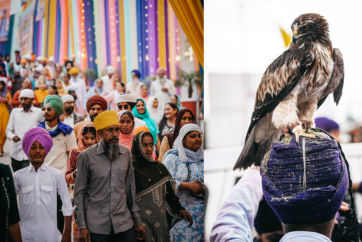 Holi & Hola Mohalla Photo Tour