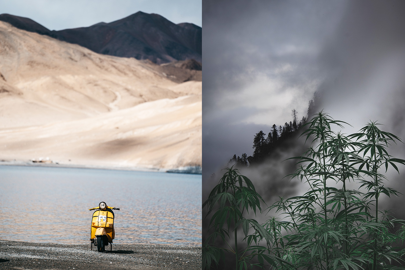 Other Expeditions