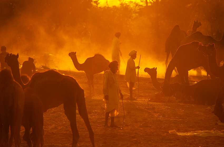 Rajasthan & Pushkar Mela 2026