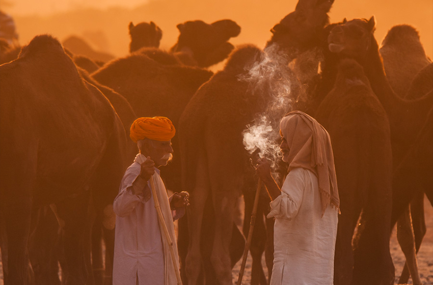 Rajasthan Photography Tour