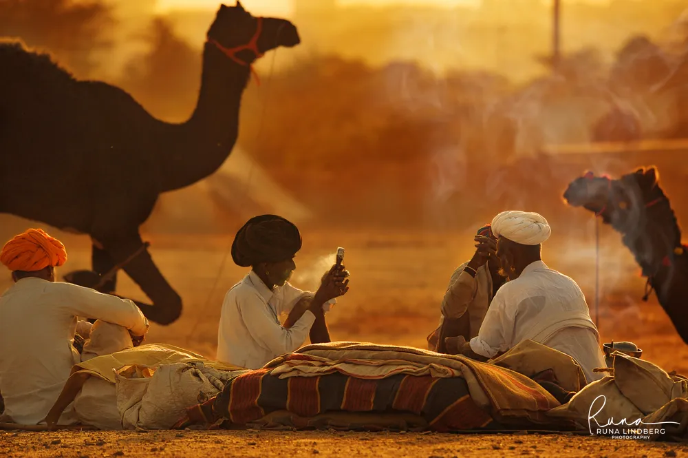 Elderly camel herder in a white turban sitting on the sand, framed between the legs of a camel, smoke from campfires drifting behind, Pushkar Mela