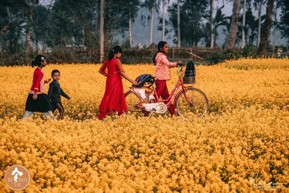 Children in a mustard field