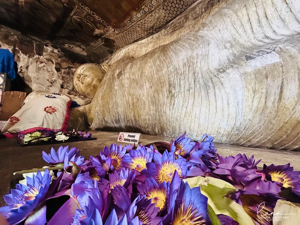 A gilded reclining Buddha beneath a colourful painted ceiling at Dambulla, flower offerings in the foreground