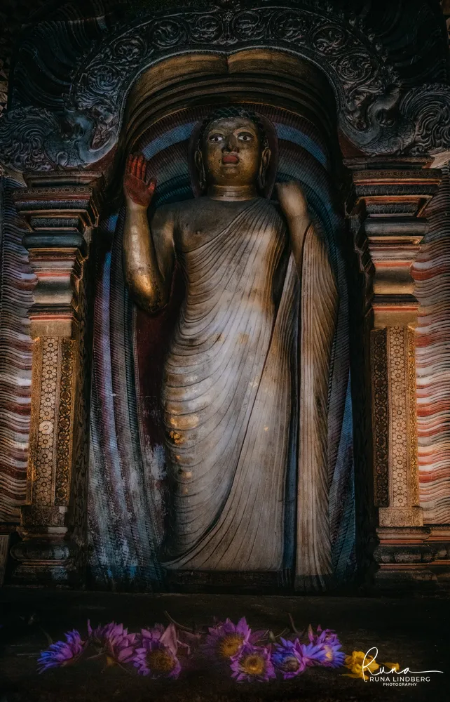 A standing Buddha with a raised hand in a carved niche at Dambulla, lotus flowers laid as offerings at its base