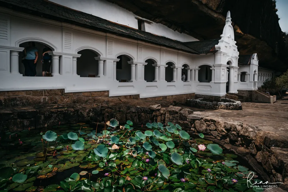 white-facade-lotus-pond.webp The white colonnaded temple facade under the rock overhang at Dambulla, with a lily pond in the foreground