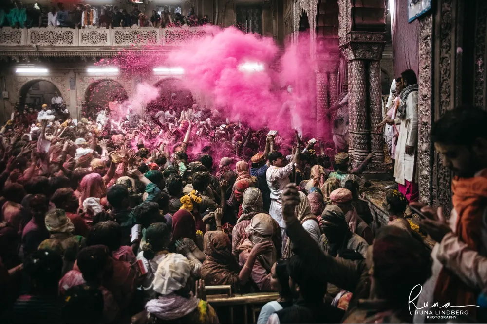 Cloud of pink gulal over a dense crowd inside the Banke Bihari temple in Vrindavan, priests throwing colour from the platform on the right, onlookers on the balcony above