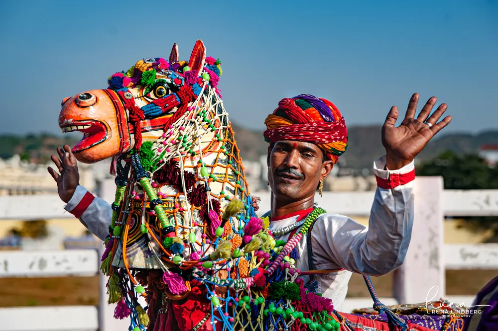 Kachhi ghodi folk dancer in a multicoloured turban waving from inside a decorated dummy horse costume, Pushkar Mela
