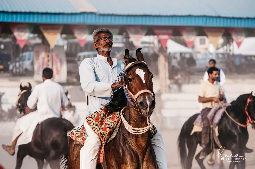 Elderly rider in white on a brown Marwari horse with inward-curving ears and a decorated saddle cloth, other riders behind him in the Mela Ground